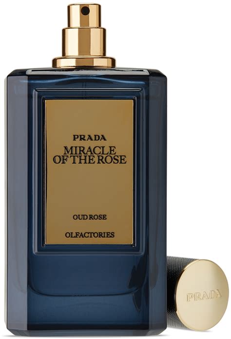 prada rose perfume uk|Prada miracle of the rose.